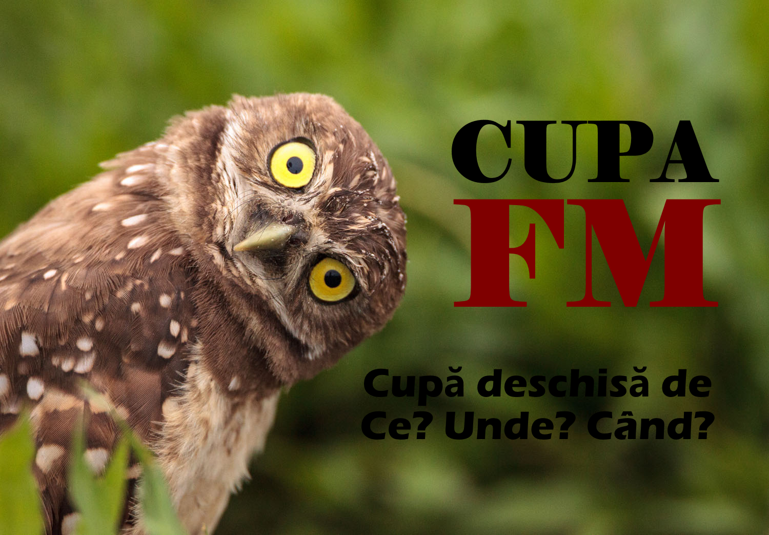 Cupa FM