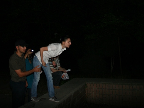 Active Image